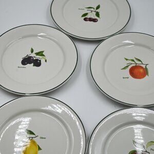 NEW Set of 5 Ulster Ceramics Jardin de France 8" Fruit Dessert Plates Ireland